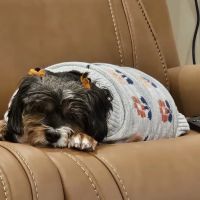 Banfield Pet Hospital ico