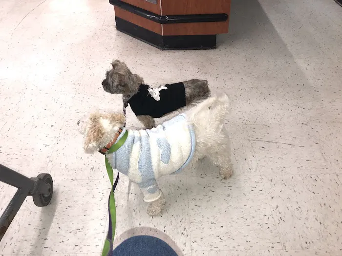 Banfield Pet Hospital Picture 7