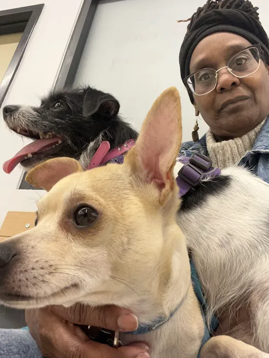Banfield Pet Hospital Picture 9