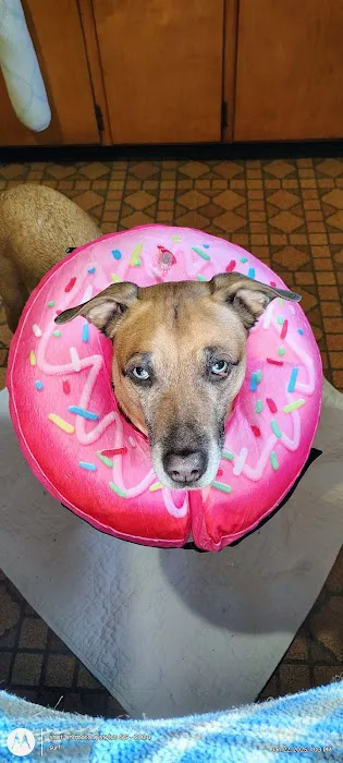 Shoemaker Avenue Animal Hospital Picture 9