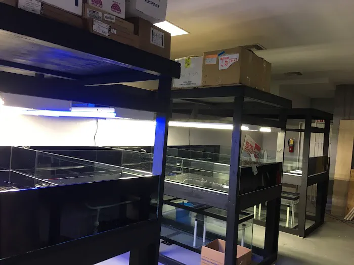 Tankme USA Picture 1