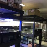 Tankme USA