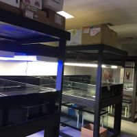 Tankme USA ico