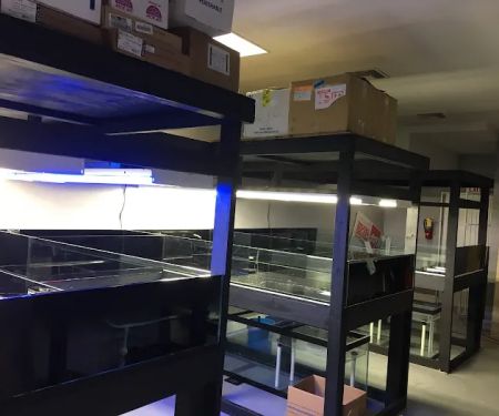 Tankme USA