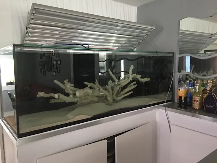 Tankme USA Picture 3