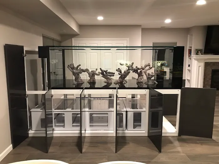 Tankme USA Picture 4