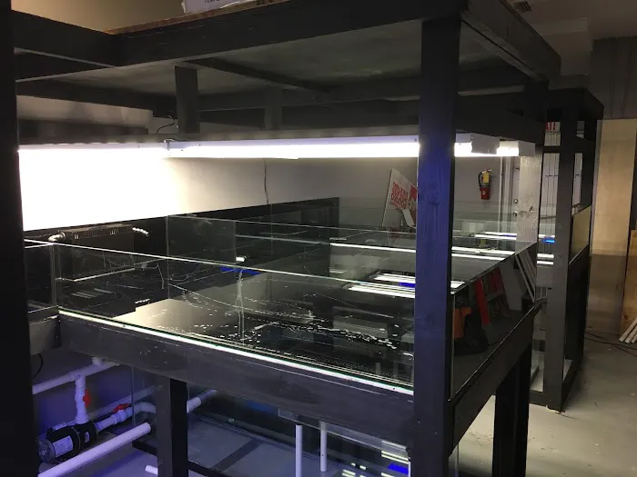 Tankme USA Picture 5