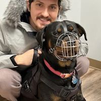 Creekside Animal Hospital ico
