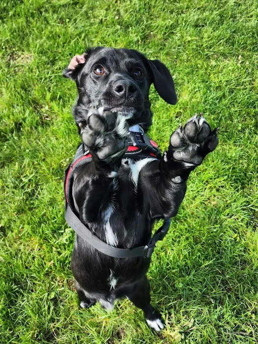 Creekside Animal Hospital Picture 3