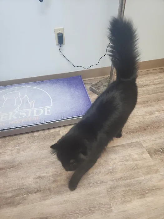 Creekside Animal Hospital Picture 5
