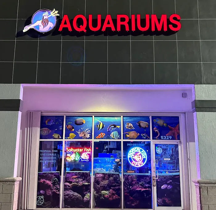 Neptunes Aquarium Store Picture 1