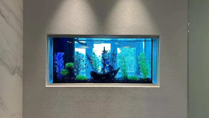 Neptunes Aquarium Store Picture 4