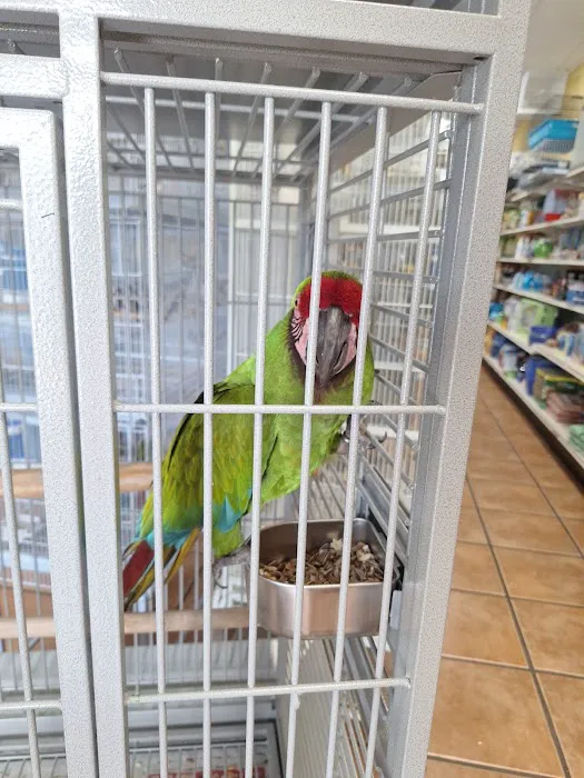 Pet Shop Picture 3