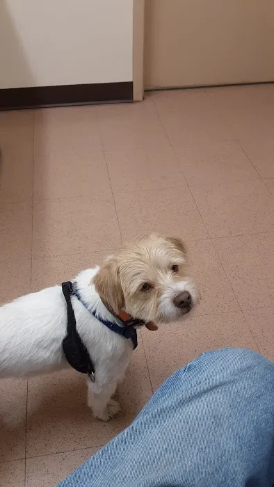 Taylorsville Veterinary Clinic Picture 2