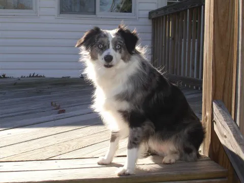 Taylorsville Veterinary Clinic Picture 4