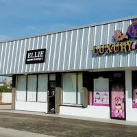 Luxury Puppies ico