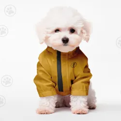 Luxury Puppies Picture 3