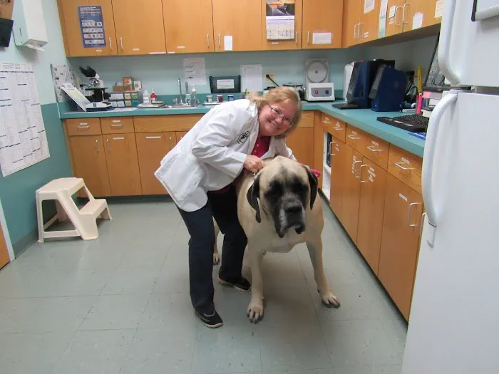 Sykesville Veterinary Clinic Picture 2