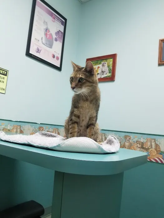 Sykesville Veterinary Clinic Picture 9