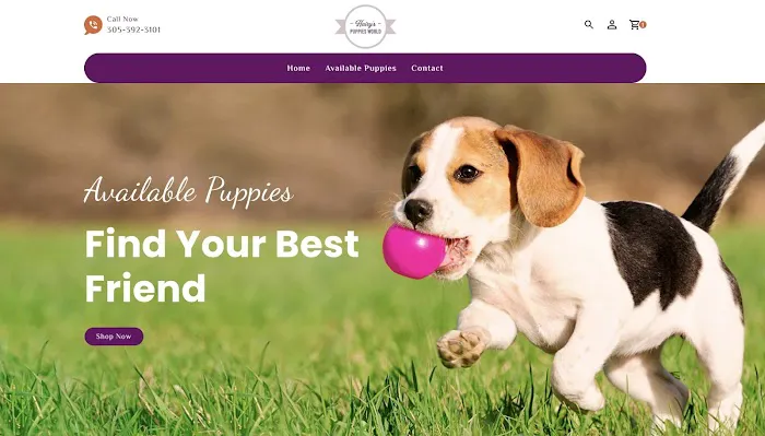 Hairy's Puppies World - Miami Puppy Store Picture 2