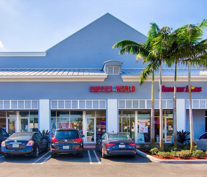 Hairy's Puppies World - Miami Puppy Store Picture 1