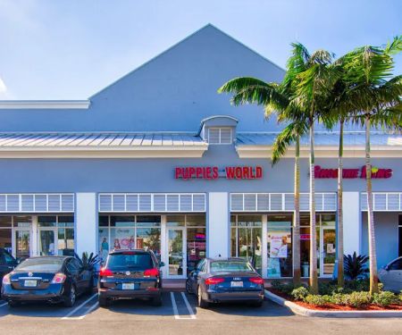 Hairy's Puppies World - Miami Puppy Store