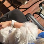 Summit Animal Hospital