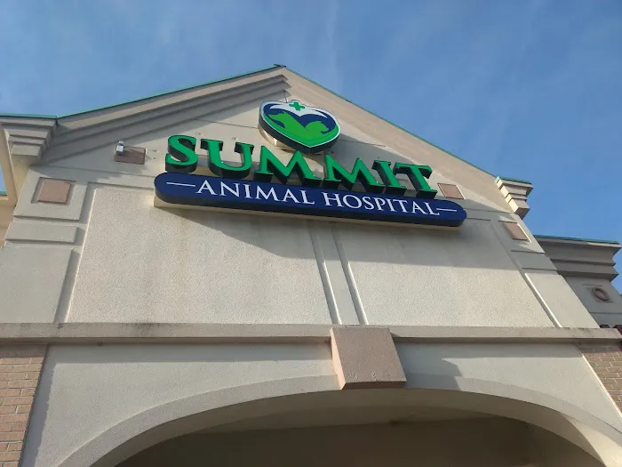 Summit Animal Hospital Picture 5