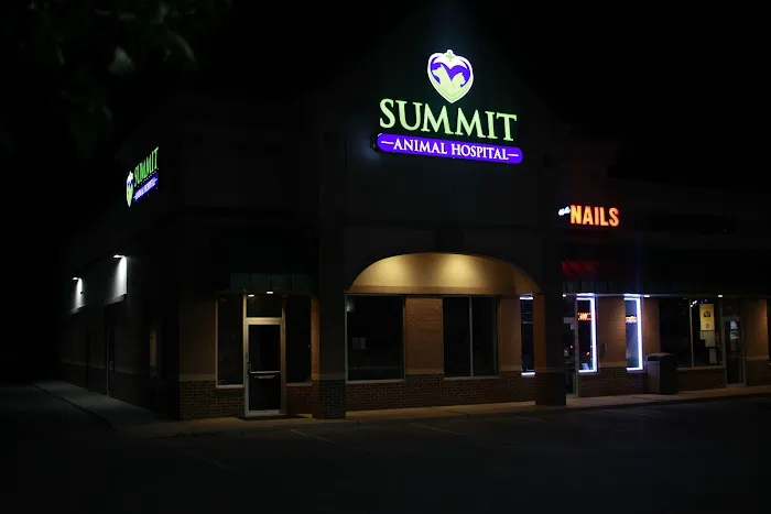 Summit Animal Hospital Picture 8