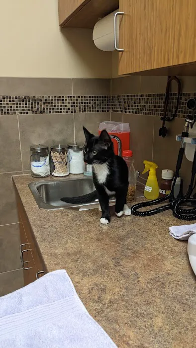 Summit Animal Hospital Picture 7