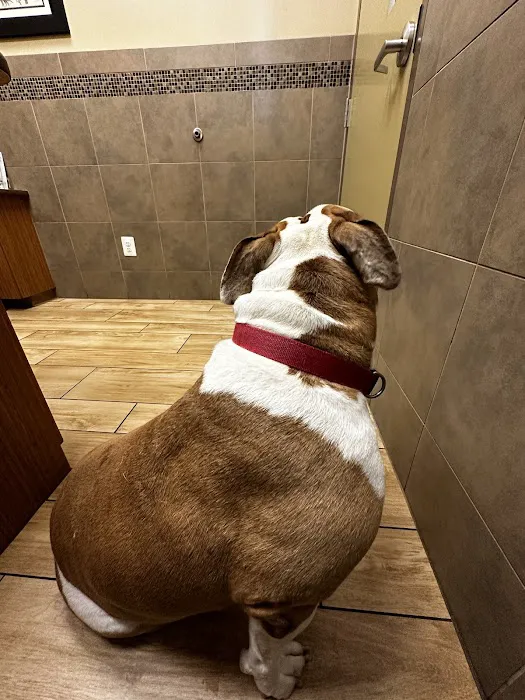 Summit Animal Hospital Picture 9