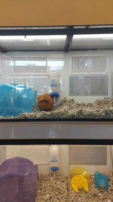 Petco Picture 4