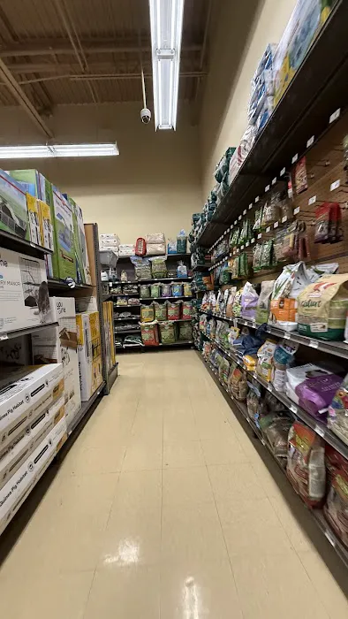Petco Picture 2