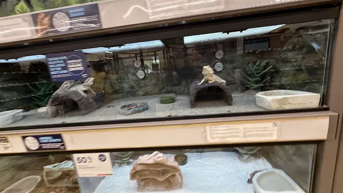 Petco Picture 1