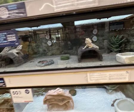 Petco