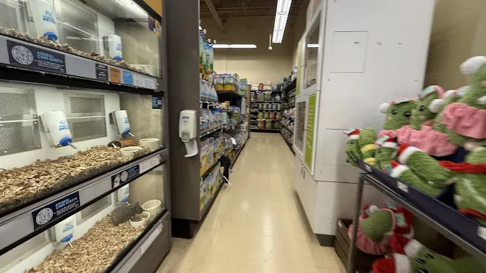 Petco Picture 7