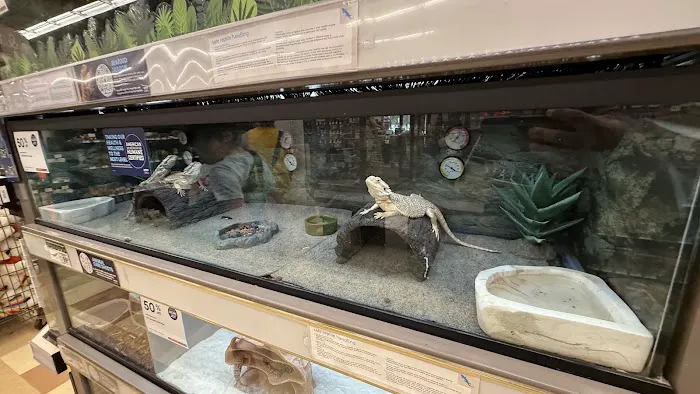 Petco Picture 8