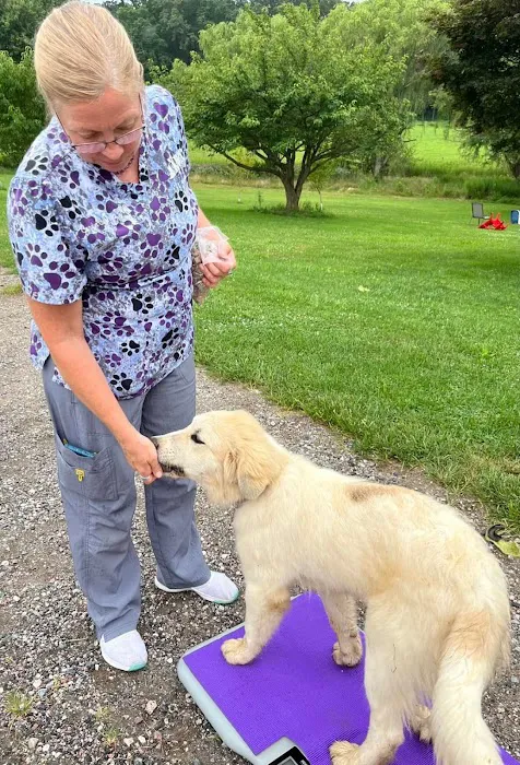 Keysville Mobile Veterinary Services LLC Picture 9