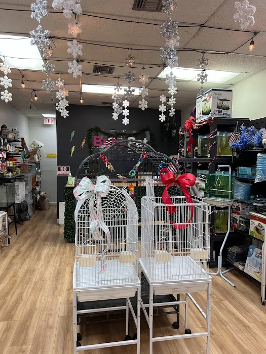 BubaPet - Pet Store Picture 1