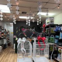 BubaPet - Pet Store ico