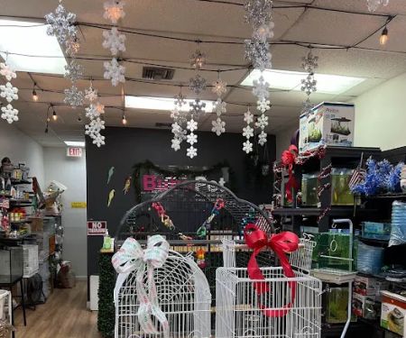 BubaPet - Pet Store