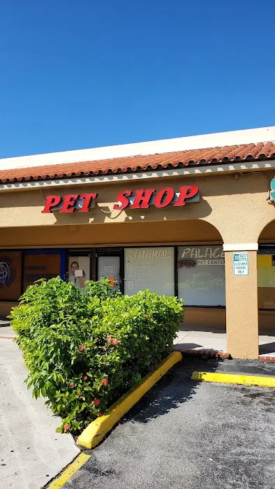BubaPet - Pet Store Picture 3