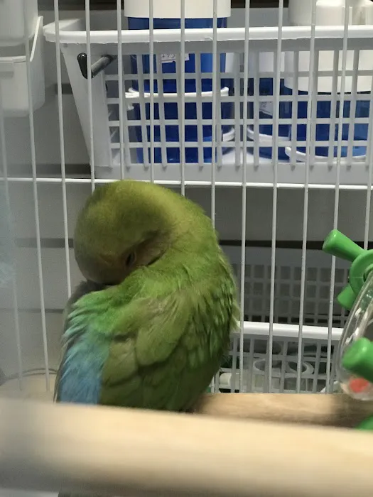 BubaPet - Pet Store Picture 6
