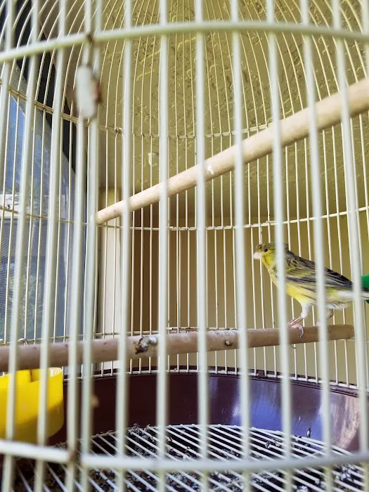 BubaPet - Pet Store Picture 7