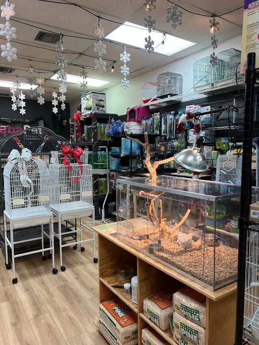 BubaPet - Pet Store Picture 5