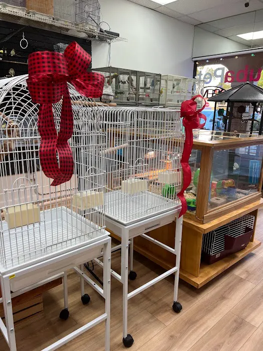 BubaPet - Pet Store Picture 10