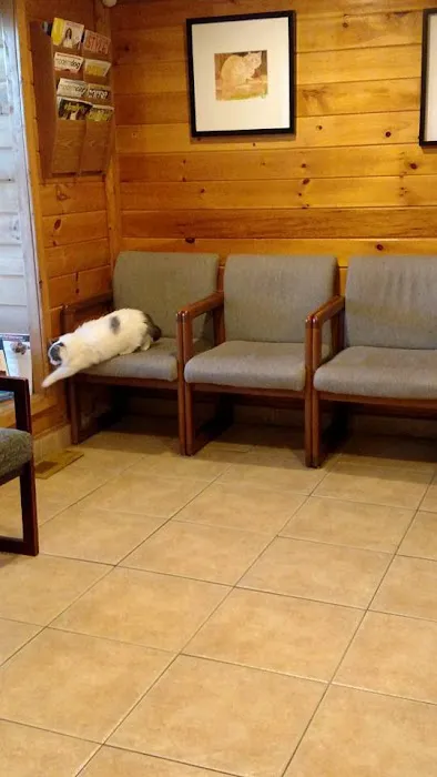 P.A.W. Veterinary Clinic Picture 3