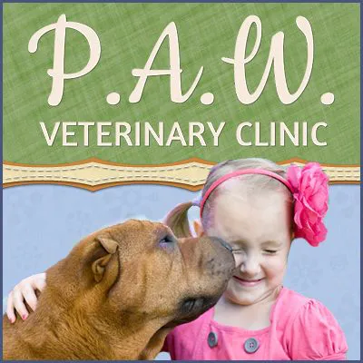 P.A.W. Veterinary Clinic Picture 5