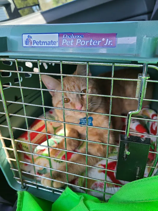 P.A.W. Veterinary Clinic Picture 4