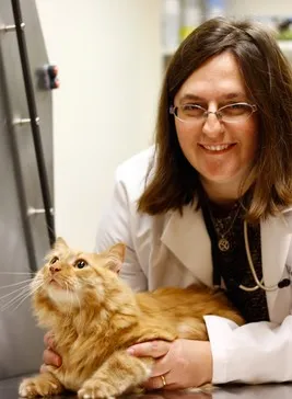 P.A.W. Veterinary Clinic Picture 8